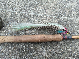 Swiss pike streamer