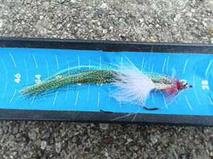 Swiss pike streamer