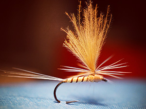 Parachute Quill CDC  Olive