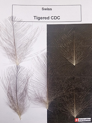 Swissflies tigered CDC