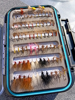 CDC flies- Swiss collection