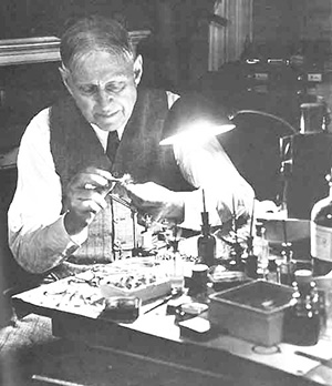 Edward Ringwood Hewitt (1866-1957) 