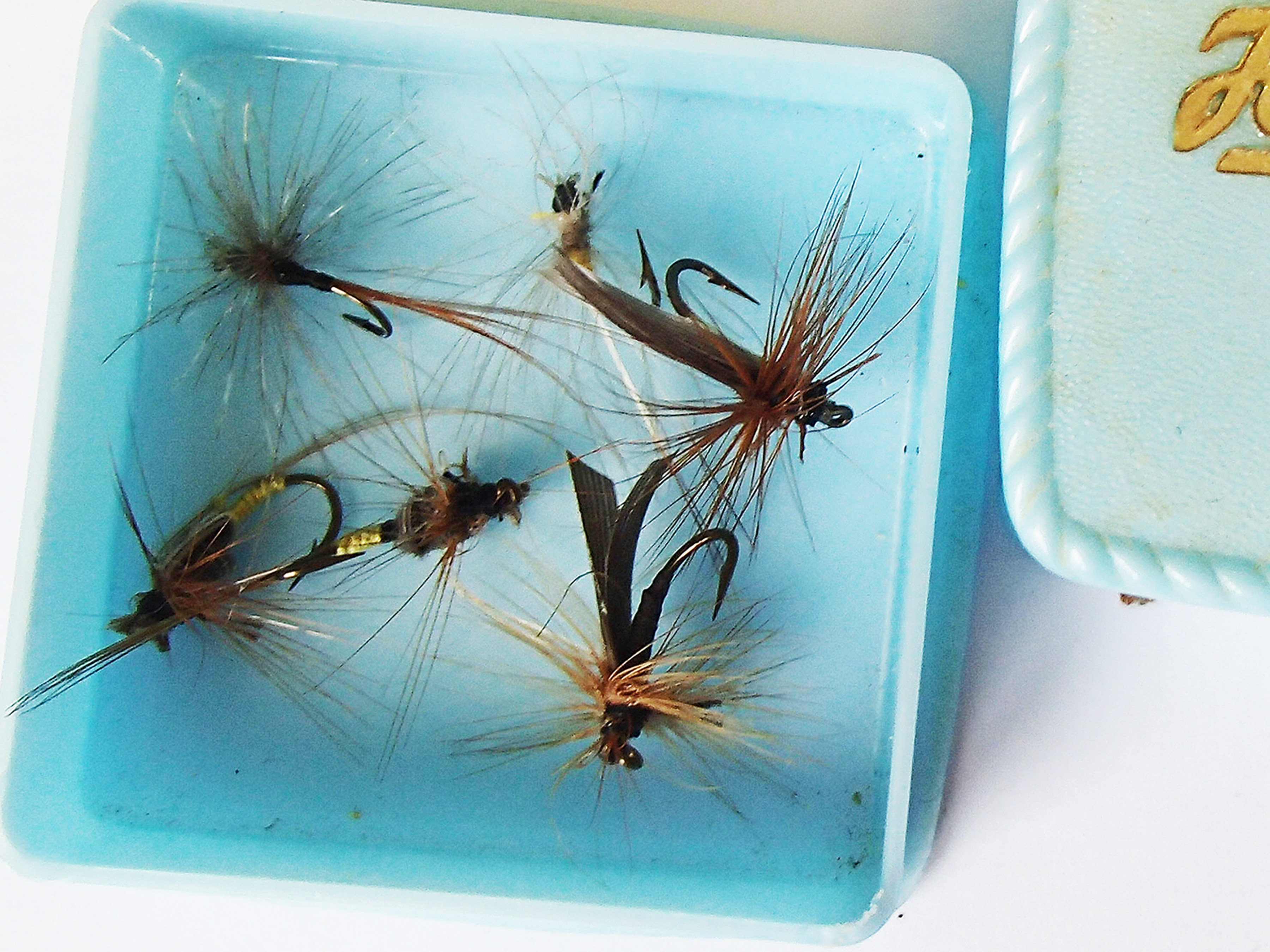 Fly of Georges Ioset