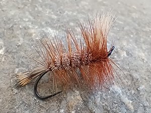 Salmon irresistible